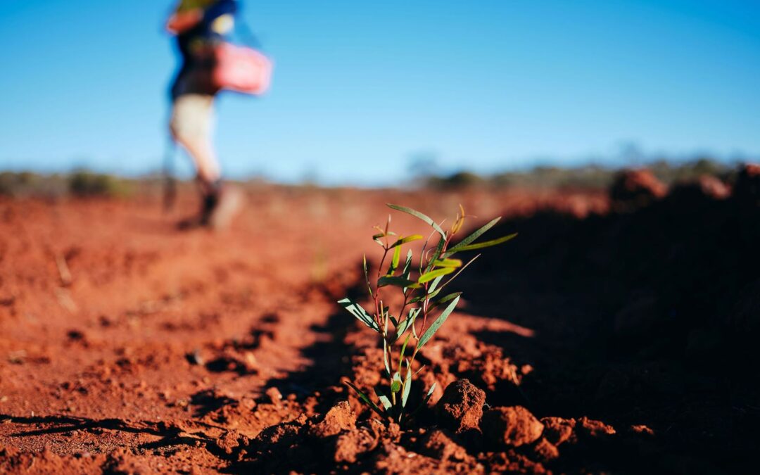 OMG partners with Plant a Tree Program