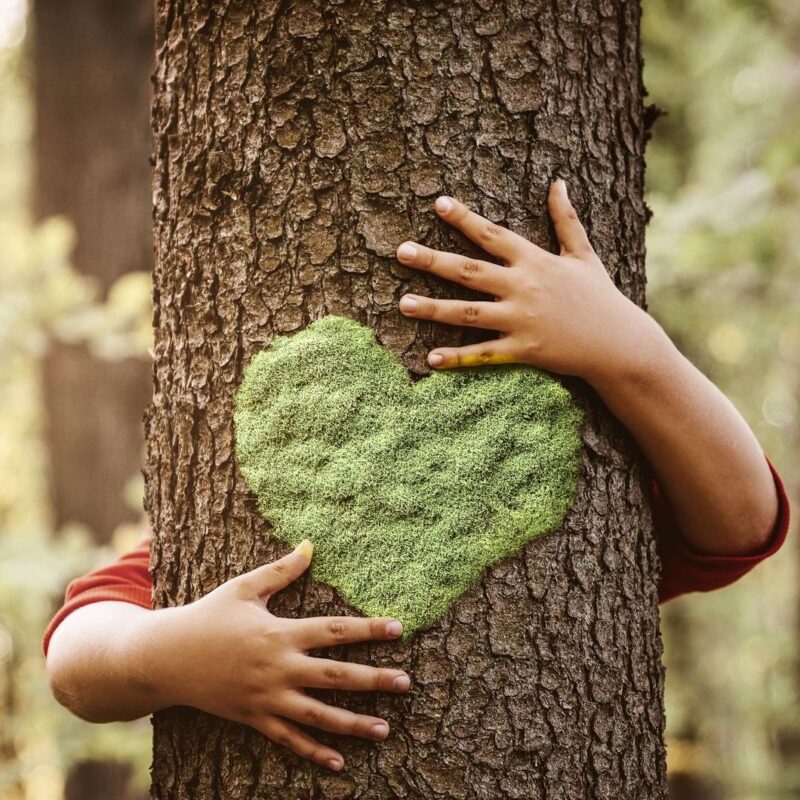 Plant Based good for environment
